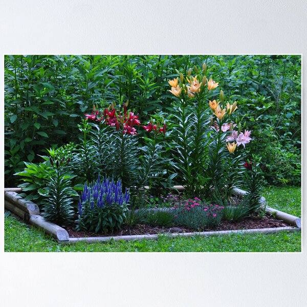 Item preview, My backyard flower garden designed and sold by mltrue.