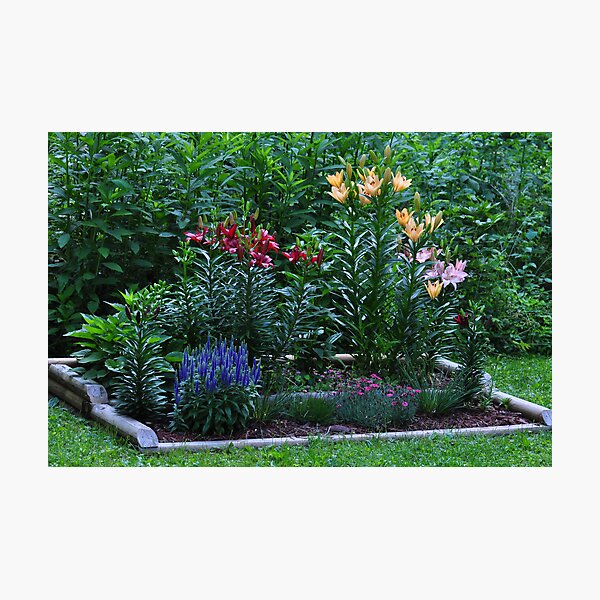 Item preview, My backyard flower garden designed and sold by mltrue.