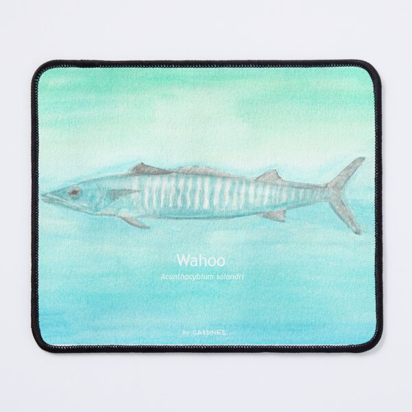 Item preview, Wahoo (Acanthocybium solandri) by Cardines designed and sold by CARDINES.