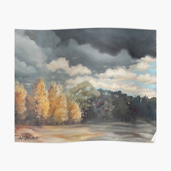 Birch trees in Benton County. Poster