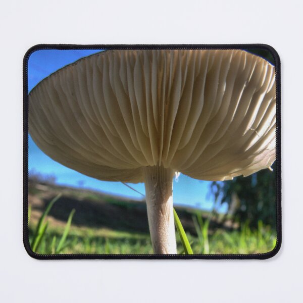Item preview, Slicing Gills designed and sold by Larry Davis.