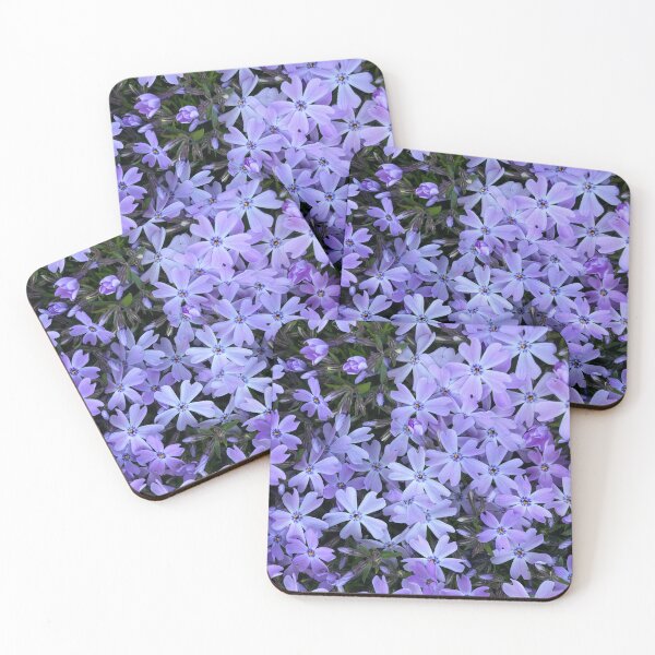 Item preview, Phlox  designed and sold by Amanda1775.