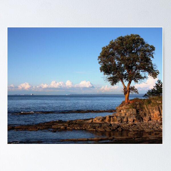 Item preview, Arbutus Strait of Georgia designed and sold by Terrill Welch.