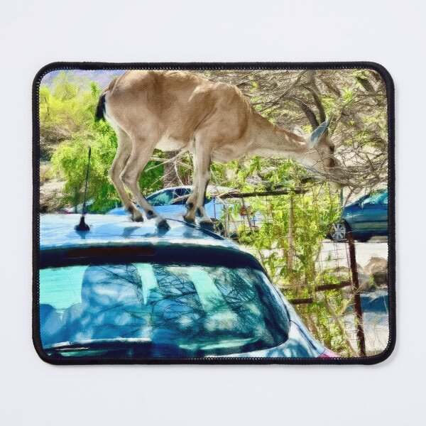 Item preview, Ibex on a Car Again designed and sold by Pamela Storch.