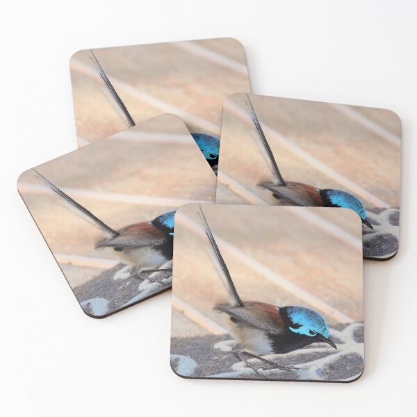 Item preview, Superb Fairywren on the Doorstep designed and sold by Aure50.