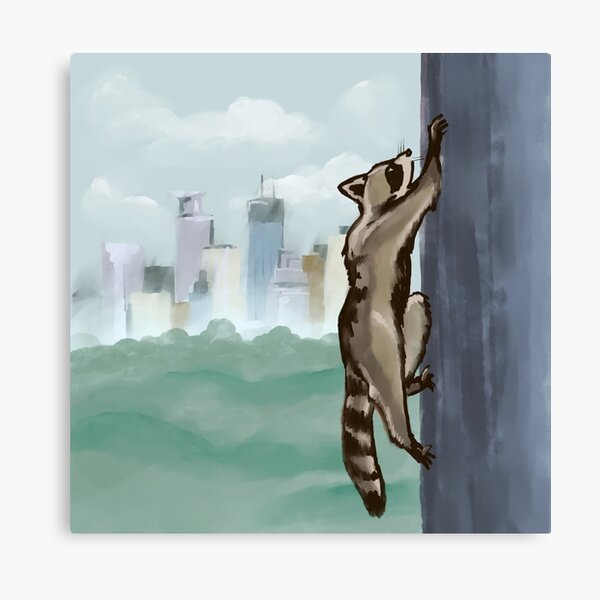 MPR Raccoon print by Megan Tegeder Canvas Print