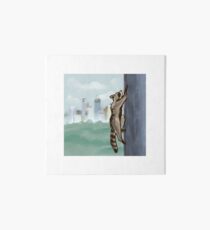 MPR Raccoon print by Megan Tegeder Art Board