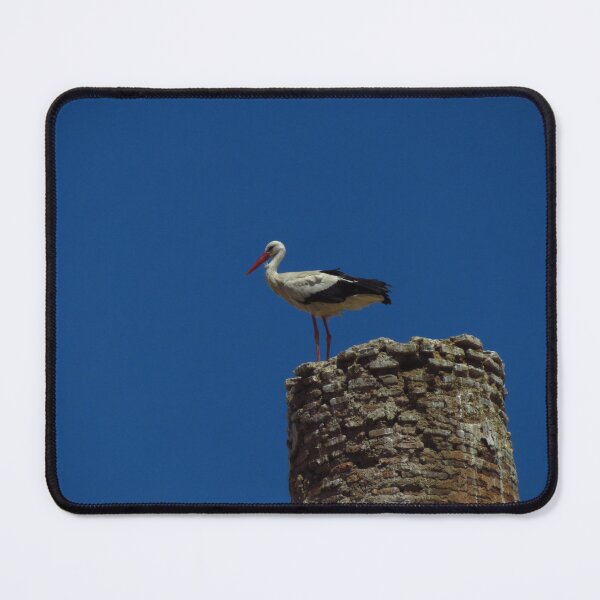 Item preview, Stork At The Badii Palace, Marrakesh designed and sold by wiggyofipswich.