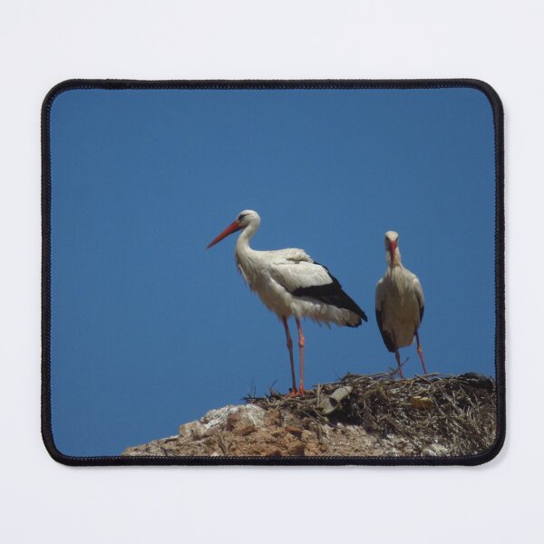 Item preview, Storks at The Badii Palace, Marrakesh designed and sold by wiggyofipswich.