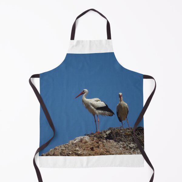 Item preview, Storks at The Badii Palace, Marrakesh designed and sold by wiggyofipswich.