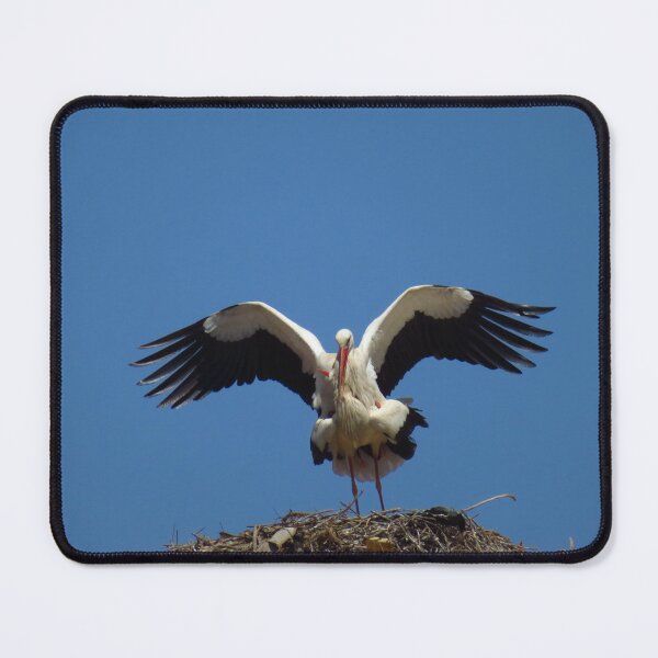 Item preview, That Attenborough Moment ! designed and sold by wiggyofipswich.