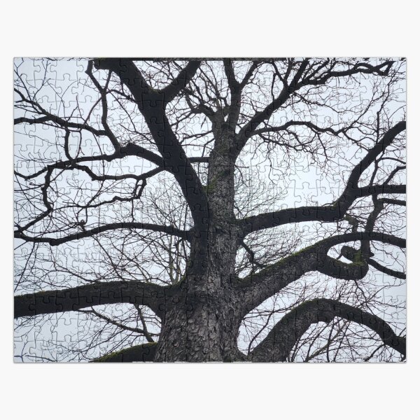 Item preview, Twisted Tree of Life designed and sold by Da Vinci's Daughter.