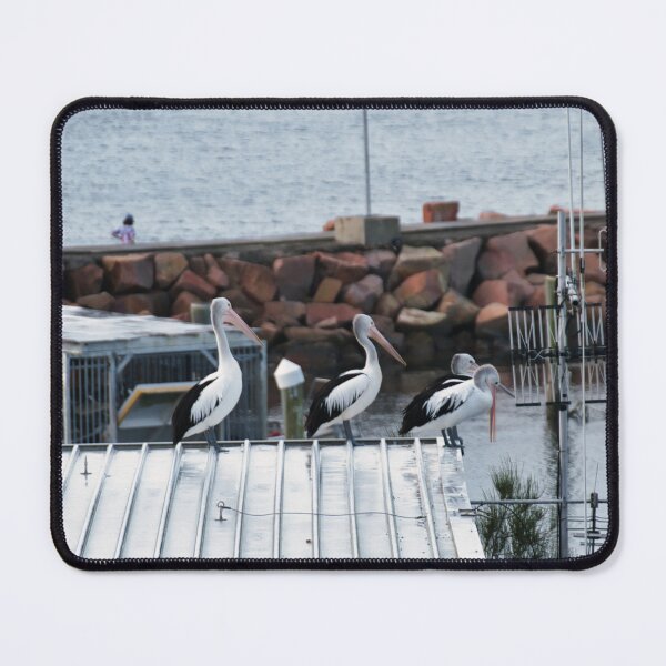 Item preview, Pelicans designed and sold by beerman70.