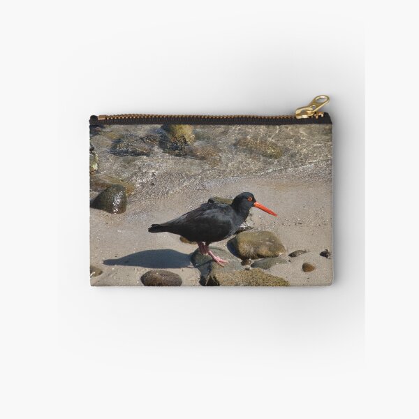 Item preview, Oystercatcher designed and sold by beerman70.