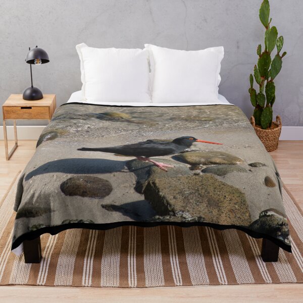 Item preview, Oystercatcher designed and sold by beerman70.