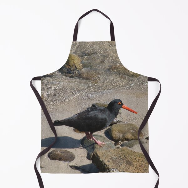 Item preview, Oystercatcher designed and sold by beerman70.