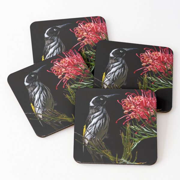Item preview, New Holland Honeyeater black background  designed and sold by Mslphotography.