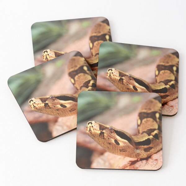 Item preview, Boa Constrictor Portrait designed and sold by smh2.