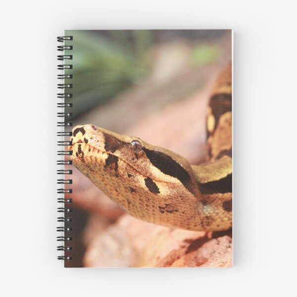 Artikelvorschau, Boa Constrictor Porträt entworfen und verkauft von smh2.