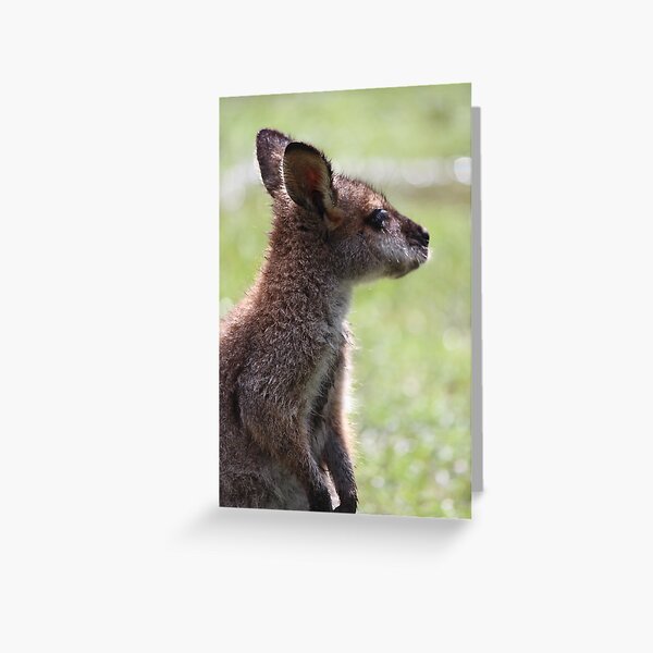 Item preview, Wallaby designed and sold by smh2.