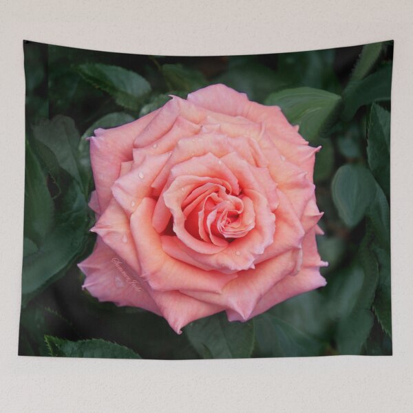 Item preview, Love ~ In a Single Rose designed and sold by SummerJade.