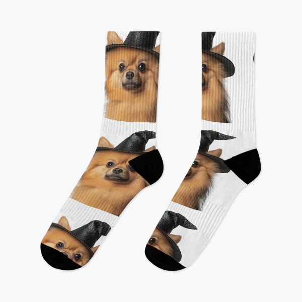 Item preview, Pomeranian Dog Wearing Halloween Witch Hat designed and sold by LazyOwlStore.