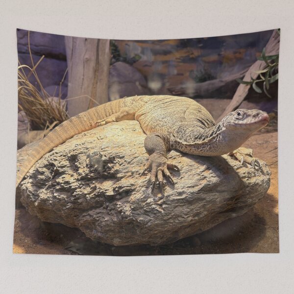 Item preview, Spencer's Monitor designed and sold by smh2.