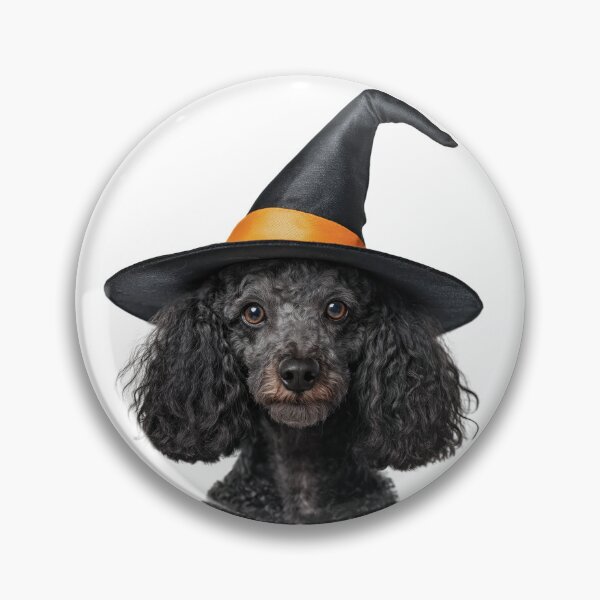Artikelvorschau, Pudelhund trägt Halloween Hexenhut entworfen und verkauft von LazyOwlStore.