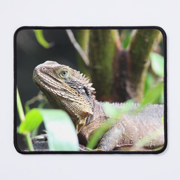 Item preview, Eastern Water Dragon designed and sold by smh2.