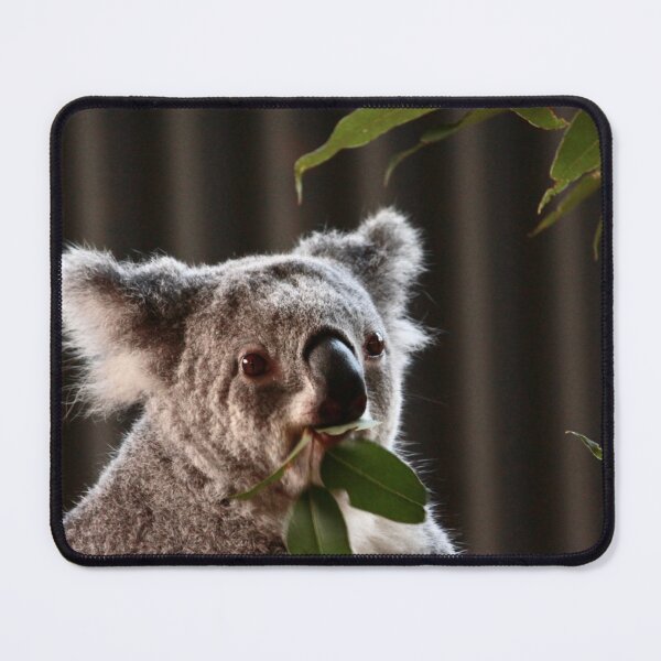 Item preview, Koala Munching Leaves designed and sold by smh2.