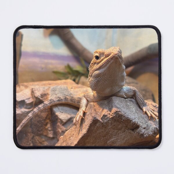 Item preview, Frill Necked Lizard designed and sold by smh2.