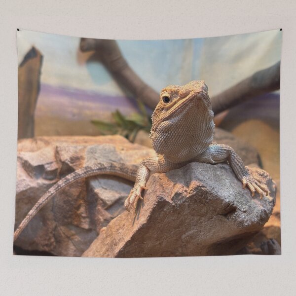 Item preview, Frill Necked Lizard designed and sold by smh2.