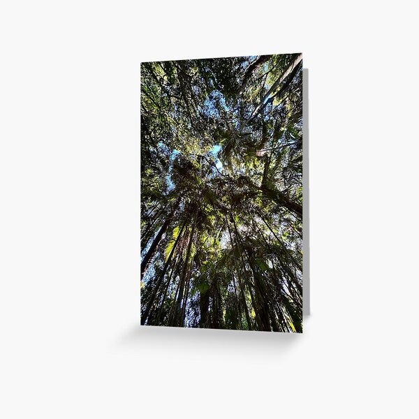 Artikel-Vorschau von Bäume und Himmel im australischen Regenwald, designt und verkauft von smh2.