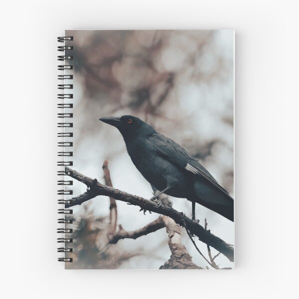 Item preview, Currawong designed and sold by DVJPhotography.