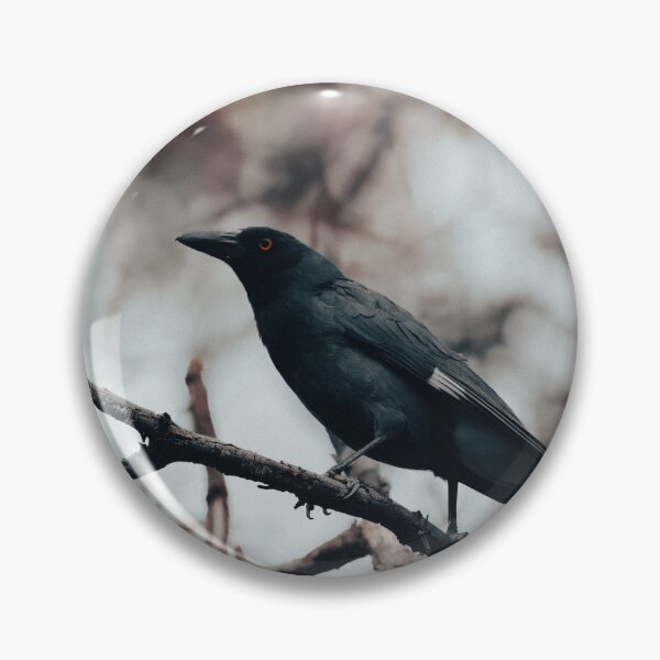 Item preview, Currawong designed and sold by DVJPhotography.