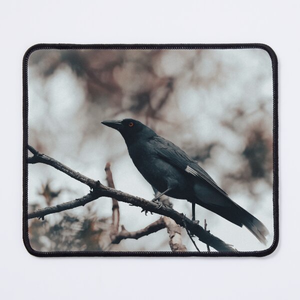 Item preview, Currawong designed and sold by DVJPhotography.