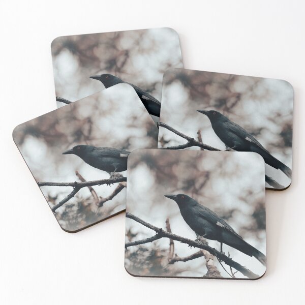 Item preview, Currawong designed and sold by DVJPhotography.