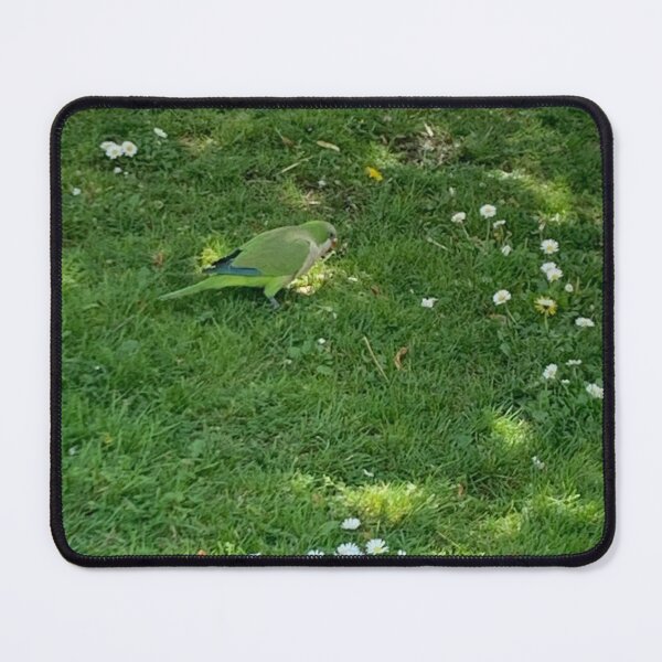 Item preview, Parrot in the Garden – Peaceful Spring Nature Moment designed and sold by Nova-Pathfinder.