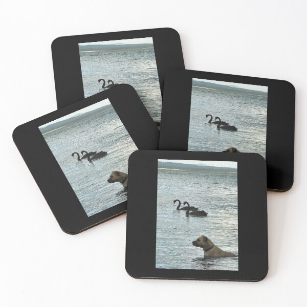 Item preview, swans and a dog designed and sold by beerman70.