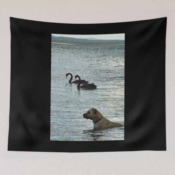 Item preview, swans and a dog designed and sold by beerman70.