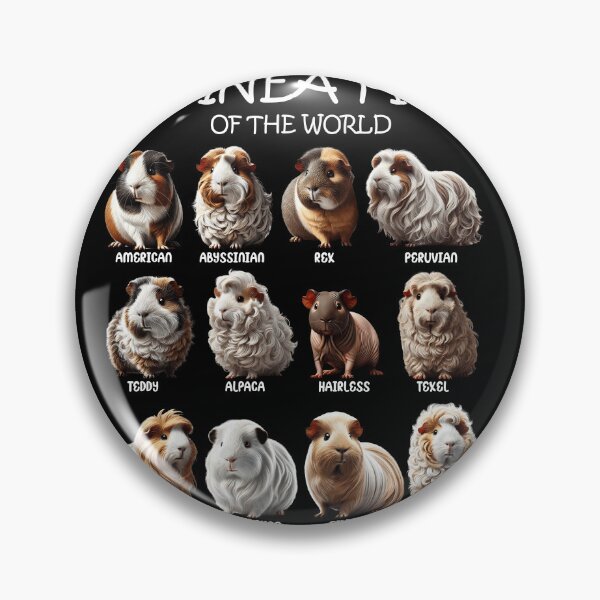Item preview, Guinea Pigs of the World Animal Lover designed and sold by Kimberley King Art  King Art.