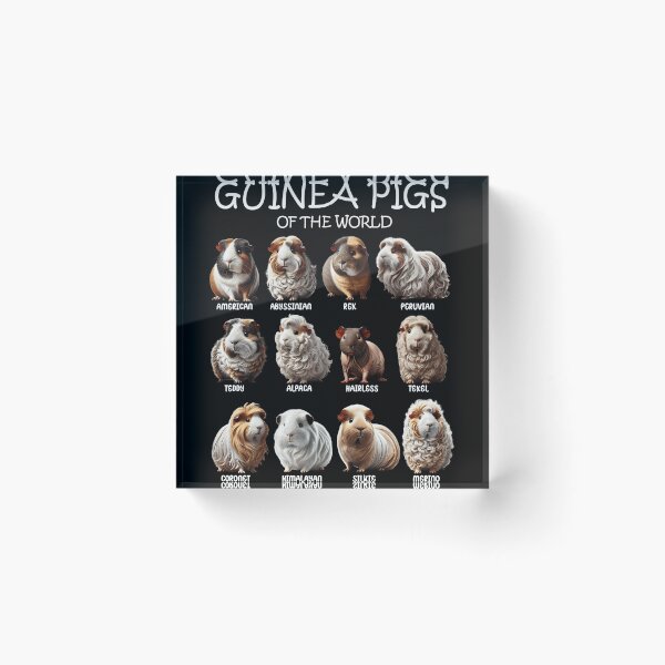 Item preview, Guinea Pigs of the World Animal Lover designed and sold by Kimberley King Art  King Art.
