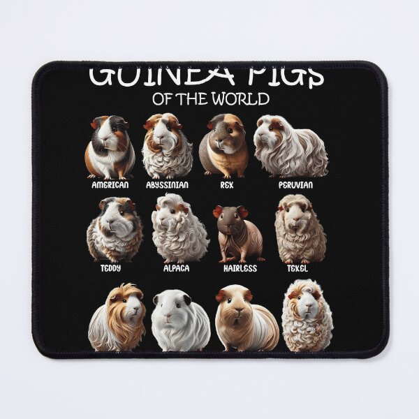 Item preview, Guinea Pigs of the World Animal Lover designed and sold by Kimberley King Art King Art.