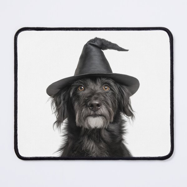 Item preview, Pyrenean Shepherd dog Wearing Halloween Witch Hat designed and sold by LazyOwlStore.
