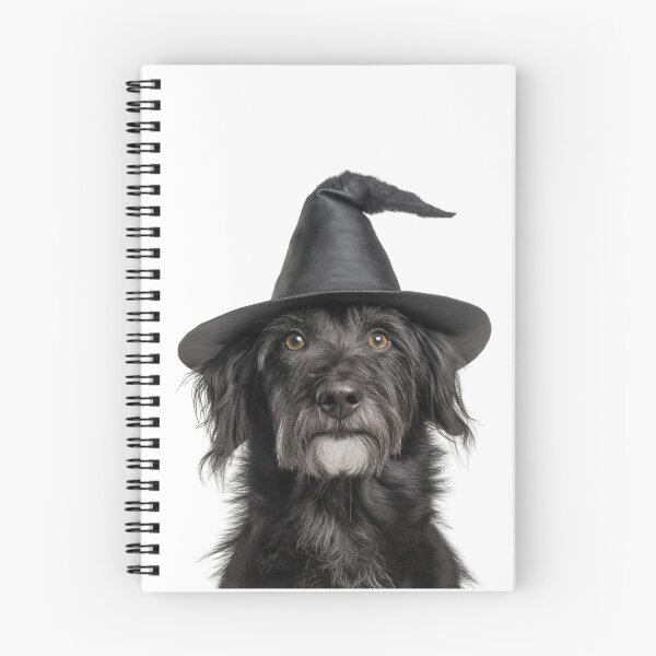 Item preview, Pyrenean Shepherd dog Wearing Halloween Witch Hat designed and sold by LazyOwlStore.