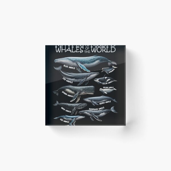 Item preview, Whales of the World Animal Lover designed and sold by Kimberley King Art  King Art.