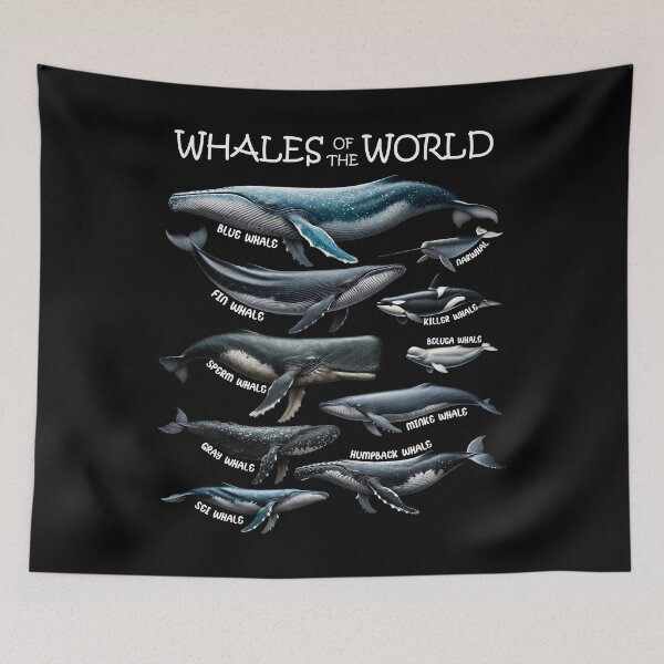 Item preview, Whales of the World Animal Lover designed and sold by Kimberley King Art  King Art.