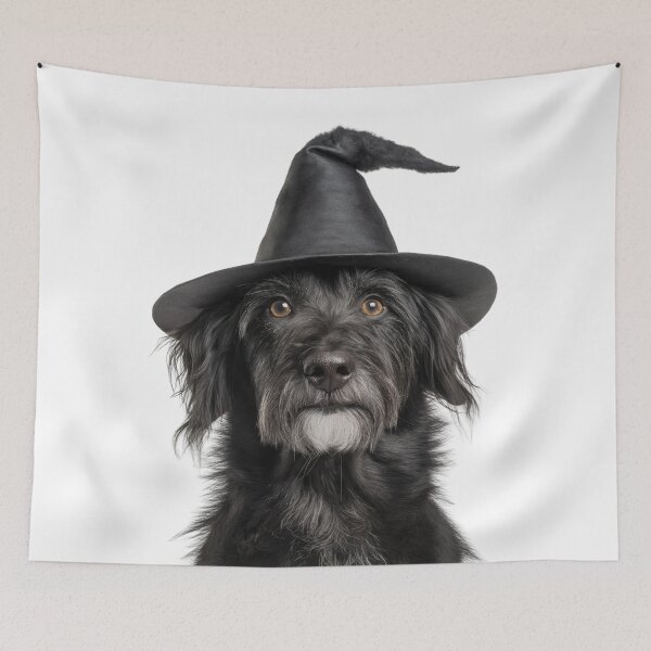 Item preview, Pyrenean Shepherd dog Wearing Halloween Witch Hat designed and sold by LazyOwlStore.