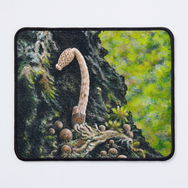 Item preview, Drewes fungus (Phallus drewesii Desjardin & B.A. Perry). designed and sold by Anna Ratkevich.