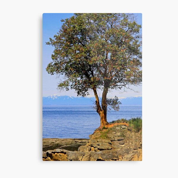 Item preview, Arbutus Tree designed and sold by Terrill Welch.